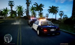 when good cops Go Bad (2)