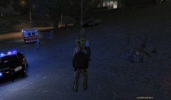 Working a single MVA