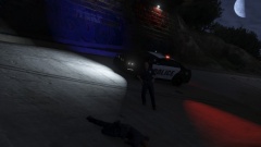 Officer homicide in the canals
