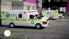 Rural/Metro Ambulance Texture WIP