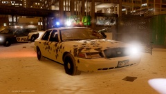 Crown Vic destroyed after shooting