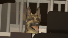 Who's a good boy? Who's a good boy!