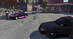 Michael Graves Campaign Trail - 1