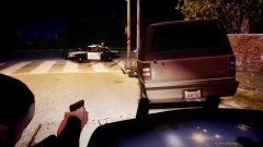 Shots Fired during prostitution sting