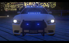 RDU based Liberty Police