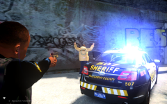 Allegheny County Police