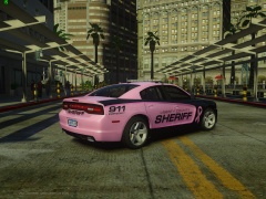 Breast Cancer Awarness 2013 Charger