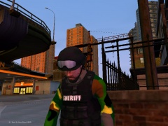 Officers Down