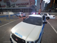 Roadblock Duty
