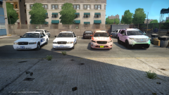 Almost done making my pack with custom skins