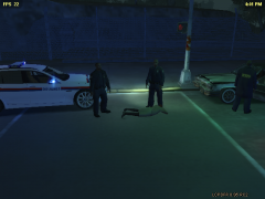 French National Police