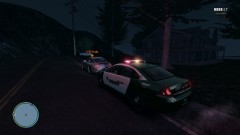 Traffic Stop