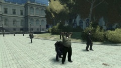 Searching  an alleged illegally armed security guard