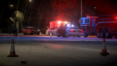 Fatal Car Versus Pedestrian Collision in Silverlake
