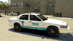 My FIA police skin.