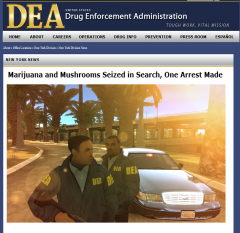 DEA #1