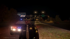 Traffic Stop