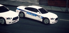 Slicktop LCDSP P.D. Charger