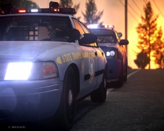 New York State Police