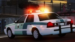 SAUDI traffic police