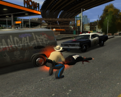 Another Traffic Stop gone wrong