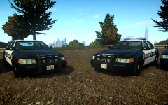 2011 Liberty County Sheriff's Office Crown Vic cruisers.