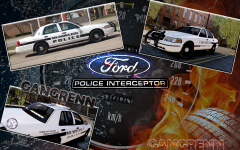 [REL] Mundelein police department