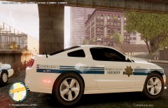 Berkeley County S.C Mustang