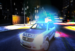 VW Passat Polizei Rheinland-Pfalz