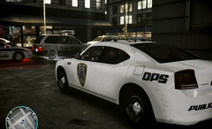 Dept. of Public Safety Dodge Charger skins
