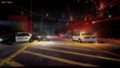 Multi Agency Narcotics Raid, 30 in custody