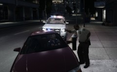Doing a traffic stop