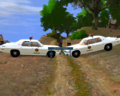 Done! Hazzard & Liberty County Skin