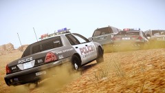 police work