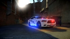 Tarpon Charger Slicktop