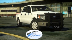 2013 F 150 with pushbar