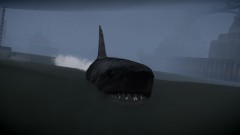 There Is a Shark in the Liberty City waters..