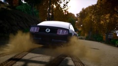 Going Thru The Forest