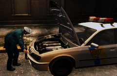 "Is there a problem with your vehicle, officer?"