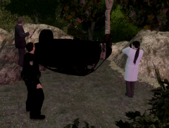 Accident Investigation