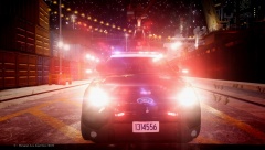 Looks Like Roman and Niko ran into some trouble