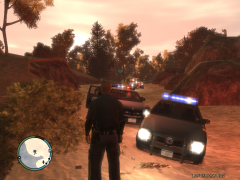 on a search for a man with a gun