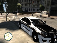 Liberty Police (Boston Police style)