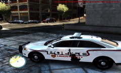 Liberty City Police