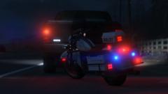 Just a normal traffic stop