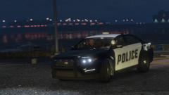 Just 2 police officers doing some police work at the docks