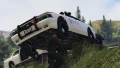 Here's a police car for you!