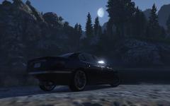 Late Night Drives in the Forest