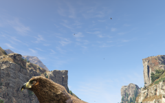 Birdseye view ( literally )