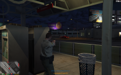 Necessary lethal force.